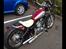 Ledow Borelli 250cc V2 chopper/bobber/lowrider