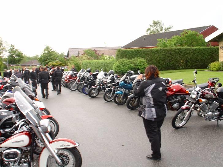 Limfjorden rundt 2007 - Hvis billederne er lidt rystede..... så er det altså ikke fordi, at cyklerne er tændte, men fordi jeg er helt oppe og køre over den kommende tur... Kald mig bare spændt... (-: billede 20