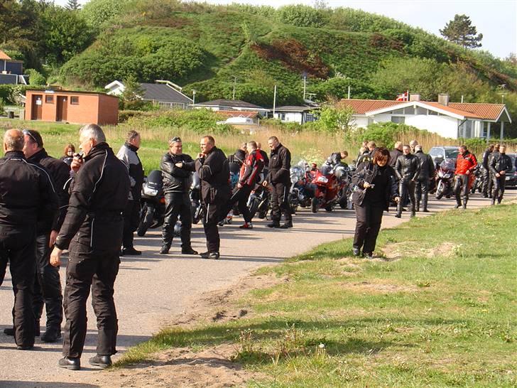 Limfjorden rundt 2007 - Gad vide om det var køen til Hvalpsund færgen... eller hva´ den nu lige hed...??? billede 34