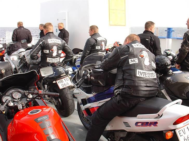 Limfjorden rundt 2007 - De fedeste rygmærker... billede 37