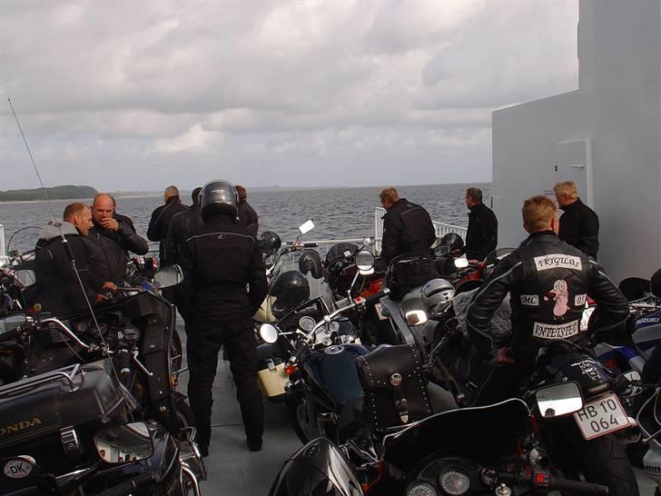 Limfjorden rundt 2007 - Lidt flere seje rygmærker... med udsigt over vandet... billede 38