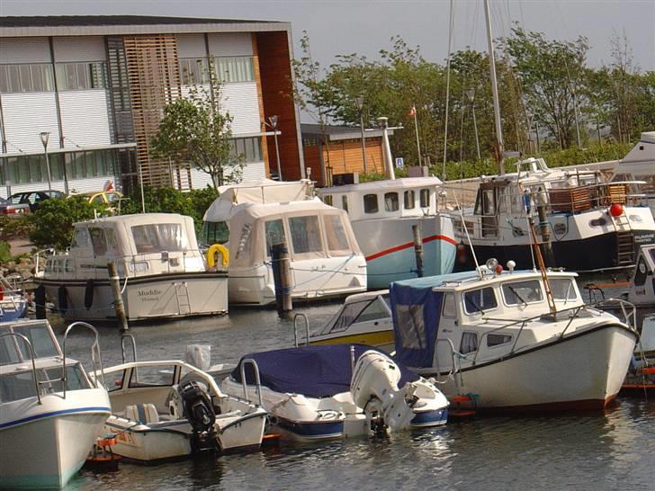 Limfjorden rundt 2007 billede 66