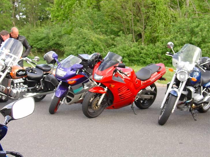 Limfjorden rundt 2007 billede 71