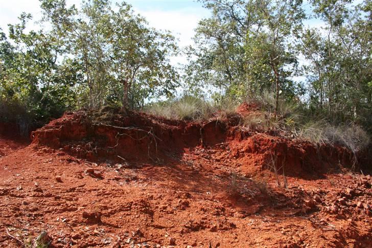 Var en tur på Cuba - Rød leret jord - skulle hilse og sige at det sviner godt på vide shorts :-) billede 9