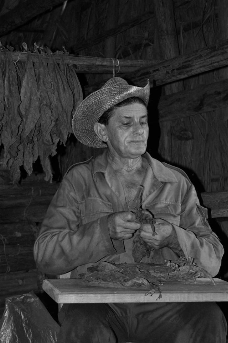 Var en tur på Cuba - Der rulles lige en cigar billede 11