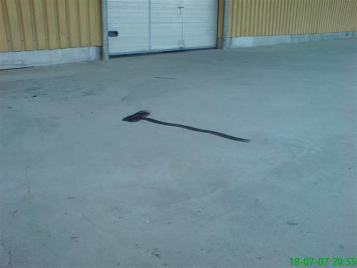 Gokart tur med Silkeborg gruppen Onsdag 18-07-07 - T for tossehoveder på tur :) billede 27