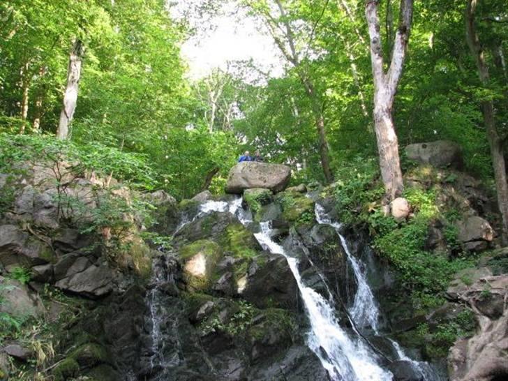 Bornholm - Bornholm byder på en masse smuk natur og der er gode veje at køre på. Der var dog nogle steder hvor asfalten var hullet, lappet, rillet og et sted hvor vi kørte på grusvej op igennem en masse sving.
Vi havde fire hele dage til at opleve i ,og med den størrelse øén har, når man at se rigtig meget. billede 1