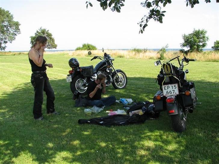 Bornholm - Første dags frokostpause. Mogens fandt en stor græsplæne ned til vandet i Nexø med et træ der gav skygge. Der blev hentet røgede sild på røgeriet i nærheden. billede 7