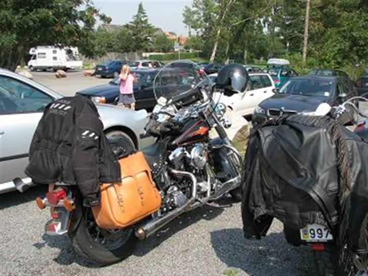 Bornholm - Disse Harlyer var svenske. billede 12