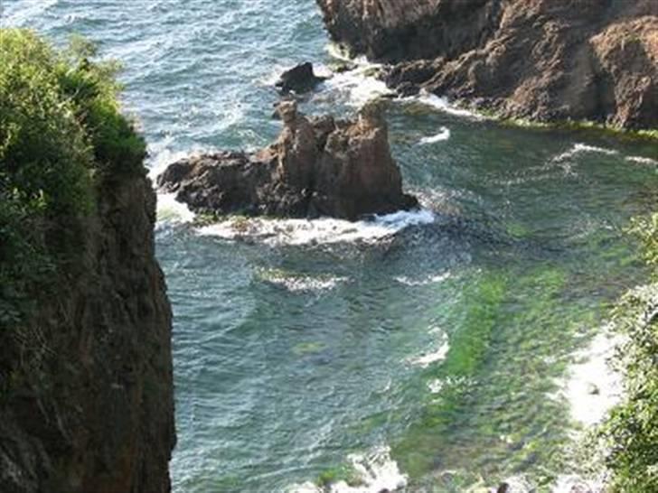 Bornholm - Løvehovederne ved Hammerhus billede 15