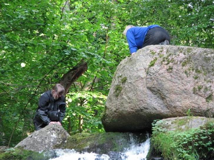 Bornholm - En lille pige på 7 år kravlede op på stenen øverst på vandfaldet, så os gamle koner skulle da også prøve, og det lykkedes. billede 29