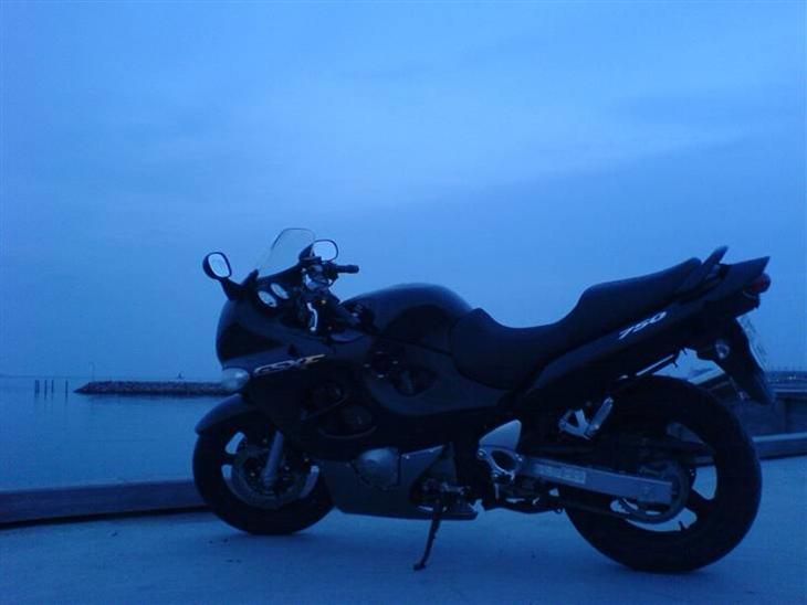Tur til Amager Strandpark - Tur til Amager Strandpark. MC'en står mørk og dyster. billede 0