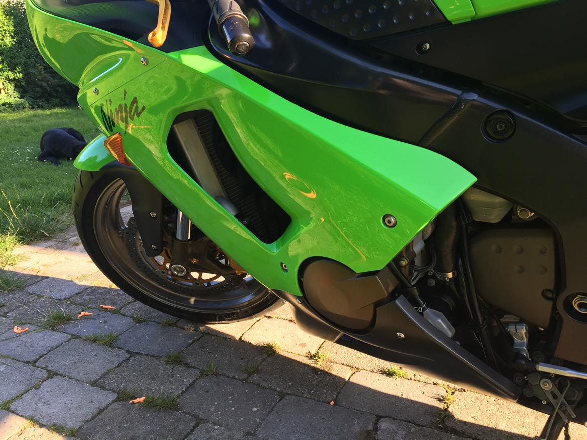 Kawasaki  billede 7