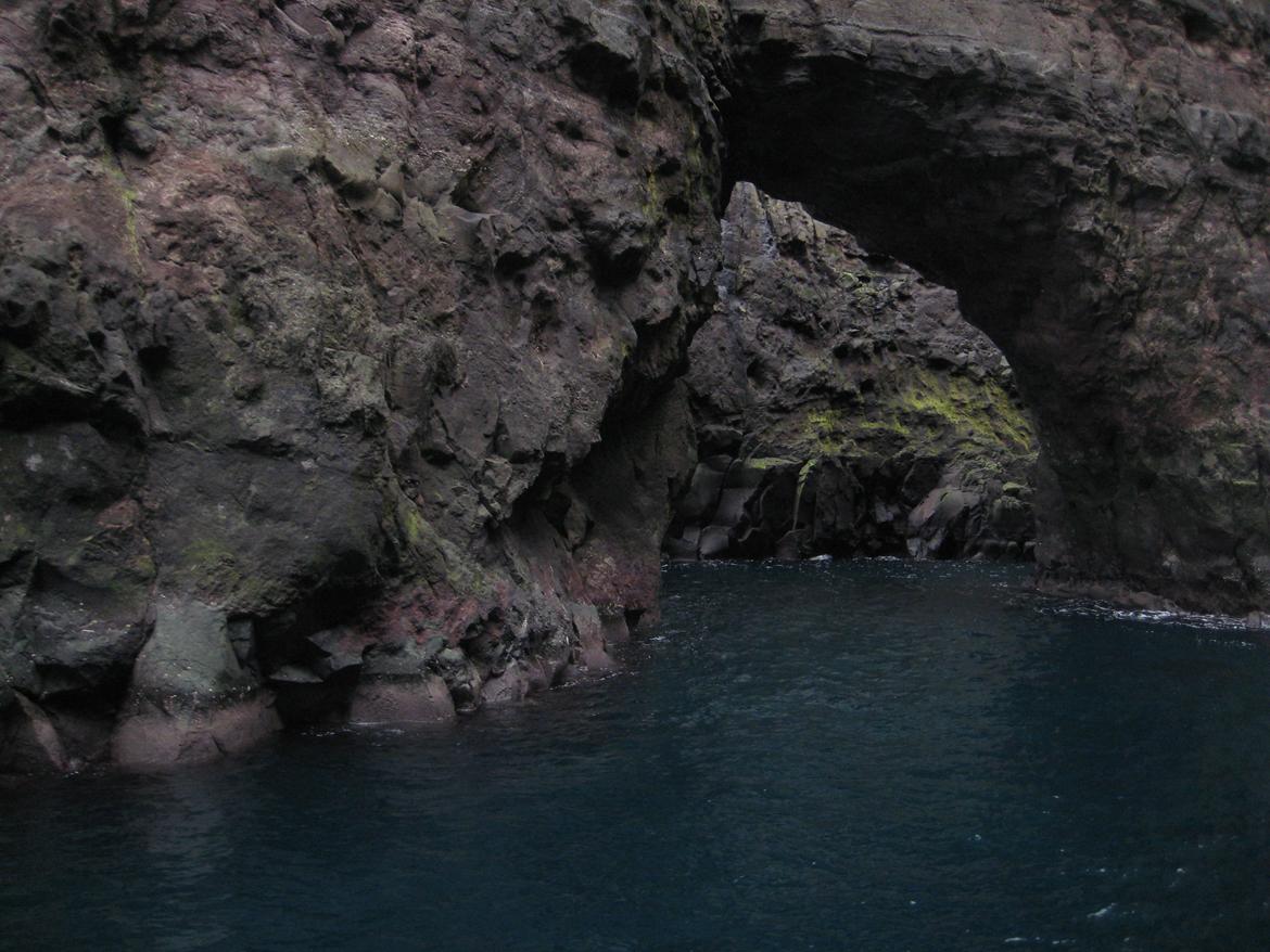 besøg på Færøerne - grotte og fuglefjel billede 34