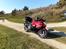 Hayabusa GSX 1300R