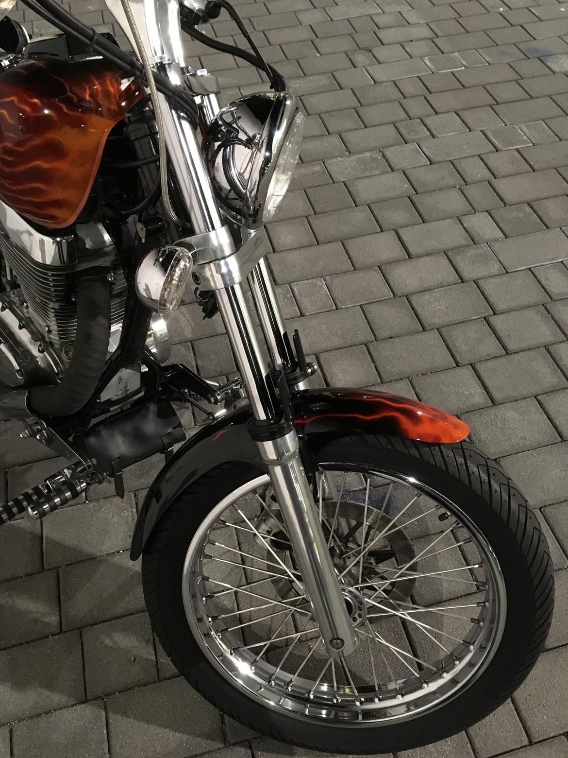 LS650 billede 412