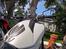 Ture omkring Bangkok. Honda NC750X og NX500 -  . . . . . . . . . . . . . .. . . . . . . . . . . . .  . . . . . . . . . . . . . . . . . . . . .   Jeg har mistet mine solbriller her ved HellFire Pass dagen før. De er blevet fundet, men nu kan receptionen ikke finde dem igen. Så jeg må klare mig med mine reservebriller.