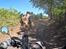 Mellemamerika, KTM 690 Enduro R - Det går bedre med 4 ben.