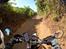 Mellemamerika, KTM 690 Enduro R - Kun til heste og køer.
