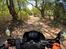 Mellemamerika, KTM 690 Enduro R - Strandvejene er på grus.