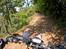 Mellemamerika, KTM 690 Enduro R - Det bliver hurtigt vildt.