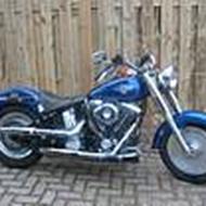 jeroen d