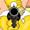 Poul