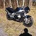 suzuki gs 550 Til salg 
