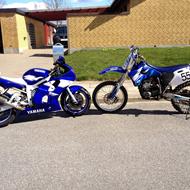 kalle 