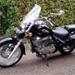 Suzuki intruder 250