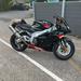 Aprilia rsv frigear