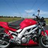 Rasmus (Fredericia) M