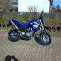 jenspeter d