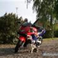 stig o