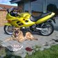 Jan K