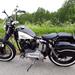 Løftebuk Sportster