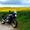 Kenneth Stampe S