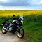 Kenneth Stampe S
