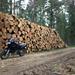 Søger hjulsæt til en Yamaha 600TT