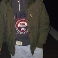 Sander H