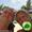 Christoffer M