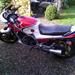 Olie over hele cyklen :S
