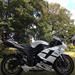 Hvilken olie og filter . Zx6r 2008