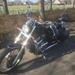 Køler til suzuki intruder vs750 fra 1986.