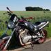 Motorcykel fra thansen?