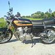 Kasper  L