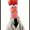 Jimmy H