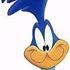 RoadRunner .