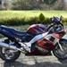 valg af motor olie