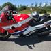 ZX-10 udstødning?